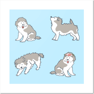 Alaskan Malamute Puppies Posters and Art